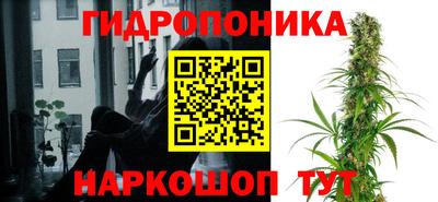 apvp Гусев