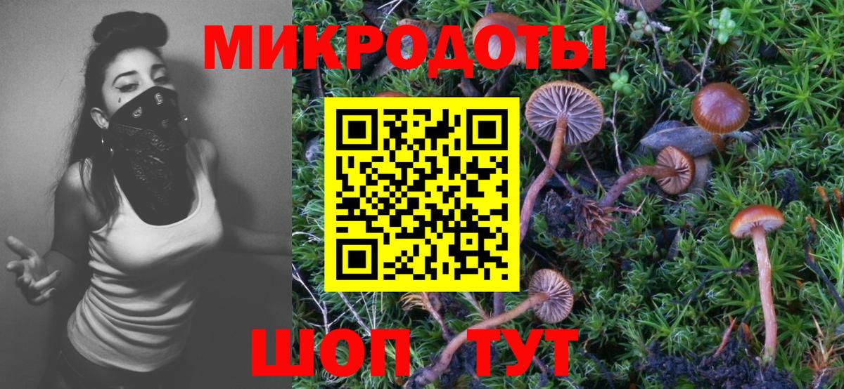 Псилоцибиновые грибы мухоморы Магнитогорск