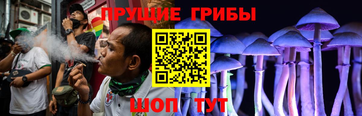 Магнитогорск  Галлюциногенные грибы Psilocybine cubensis  Вход с VPN 